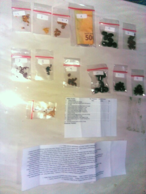 Biji/benih/bibit Tanaman Kopi  (7 Biji)