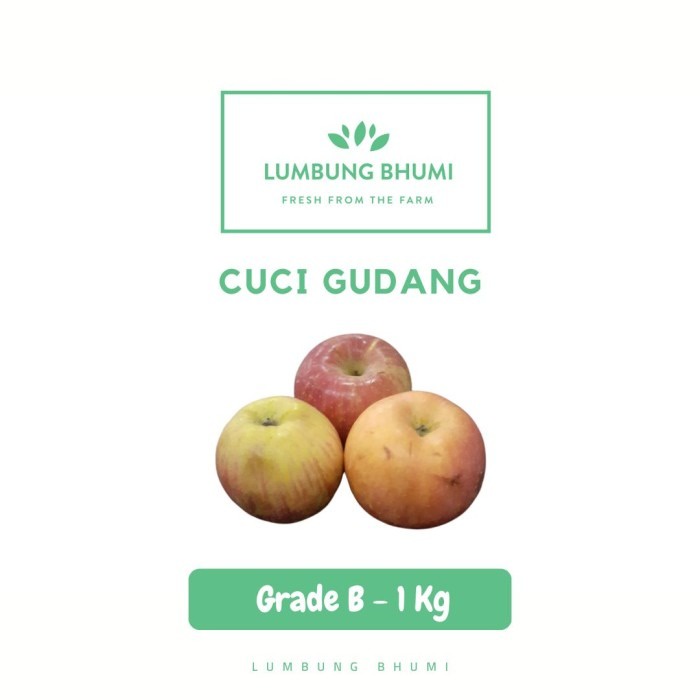 

Lumbung Bhumi - Apel Fuji Biasa Grade B 1 Kg ( Buah Curah )