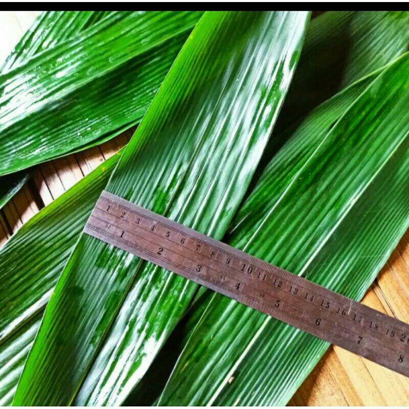 

daun bambu super/ bungkus bakcang, 1 lembar