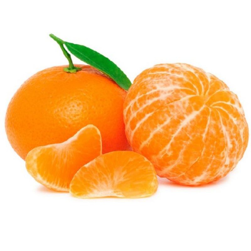 BIBIT JERUK MANDARIN