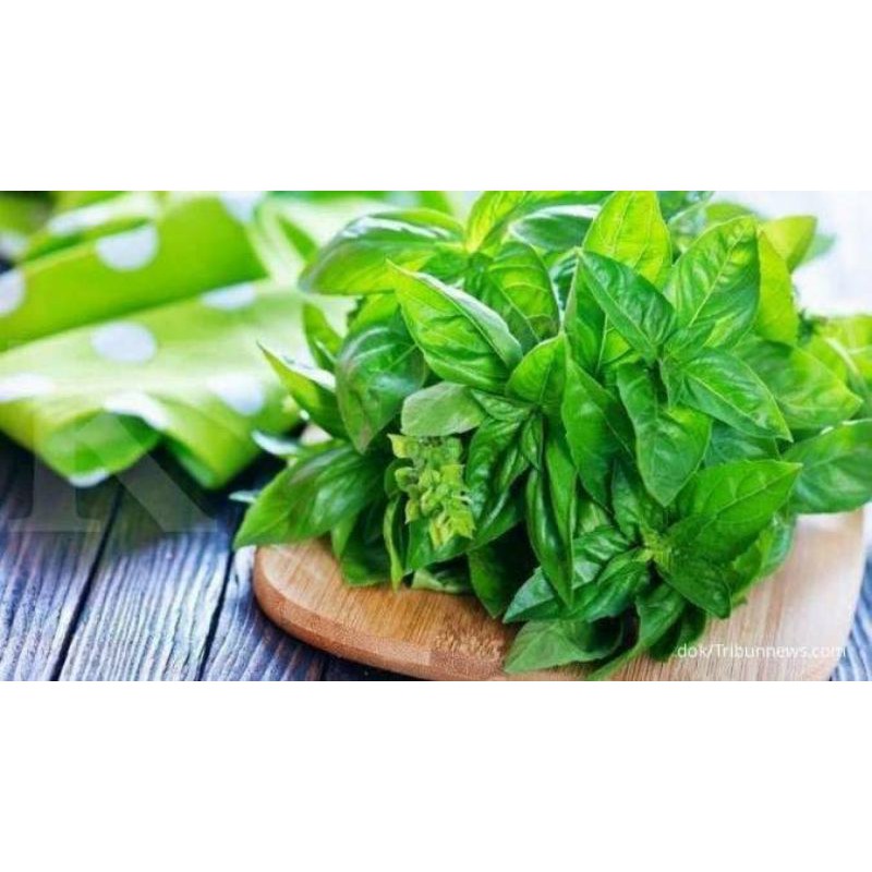 

daun kemangi 1 ikat termurah/daun herbal