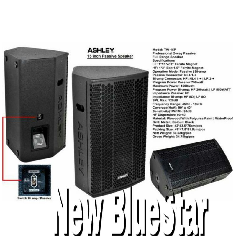 Speaker-Salon Pasif Ashley TW 15P Original Passive TW15P - 15 inch