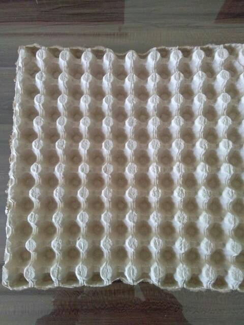 Benteng Onderdil Egg Tray Karton Puyuh