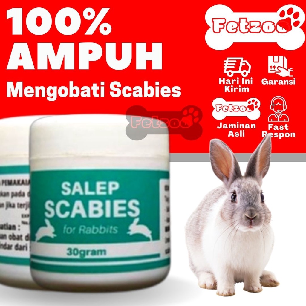 SALEP SCABIES JAMUR OBAT JAMUR KELINCI AMPUH FETZOO