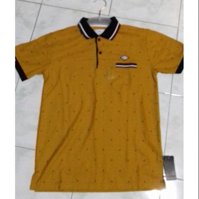 Polo Nevada