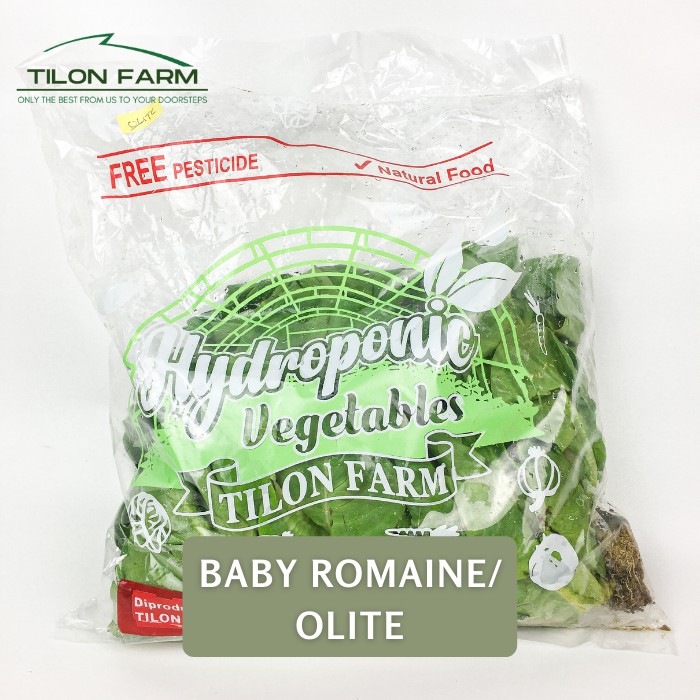 Selada Baby Romaine/ Olite Hidroponik dan Organik Tilon Farm Sayuran selada hijau import salad tumis