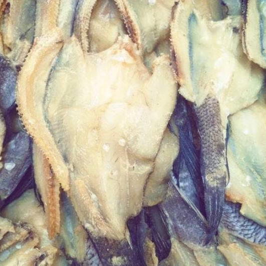 

Harga Bersahabat IKAN ASIN GABUS~