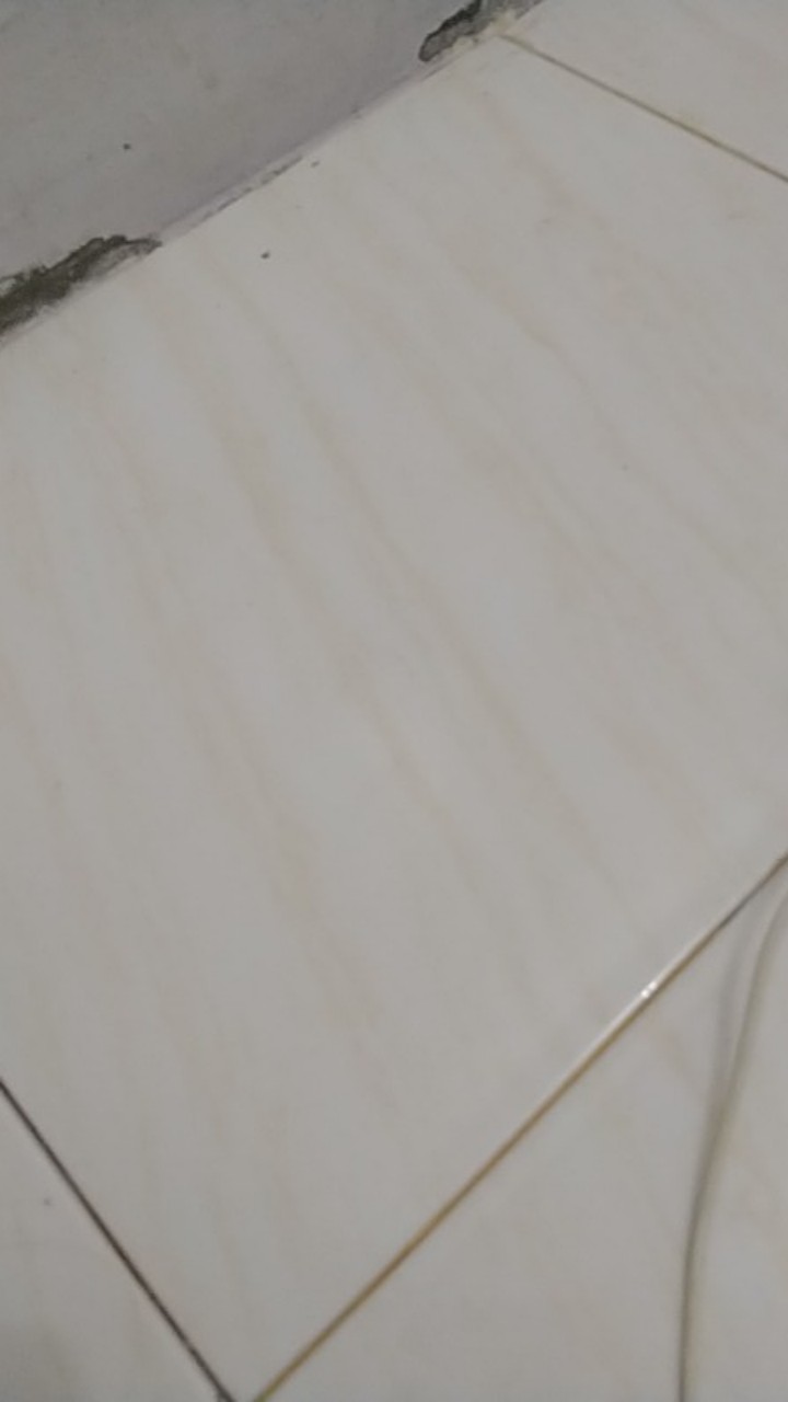 Pisau Buah - Pisau Dapur Untuk Sayuran Dan Buah - Pisau Kupas Buah - Bc