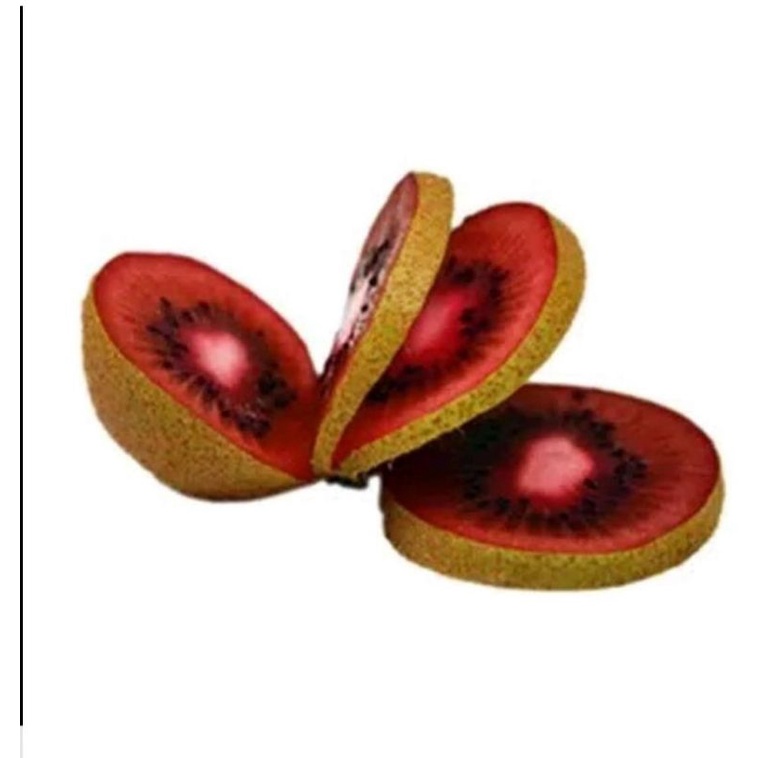10 biji benih buah kiwi merah /red