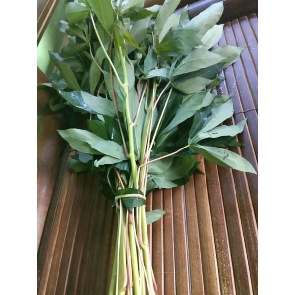 

Daun Singkong Sayur Daun Singkong per Ikat SAYUR GEDEBAGE PRAKTIS BANDUNG
