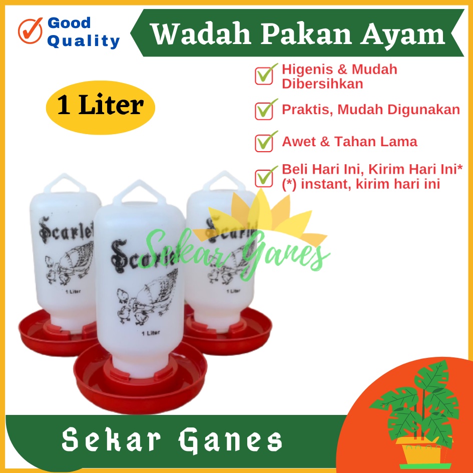 Tempat Makan Ayam Kapasitas 1 Liter 1 Kg SCARLET Wadah Pakan Ayam Anti Tumpah Ransum Wadah Makan Ayam Anakan Plastik 1 Kg - TEMPAT MAKAN AYAM / RANSUM / TRA1K MEDION KAPASITAS 1KG WADAH PAKAN AYAM TERMURAH BAHAN PLASTIK BAGUS