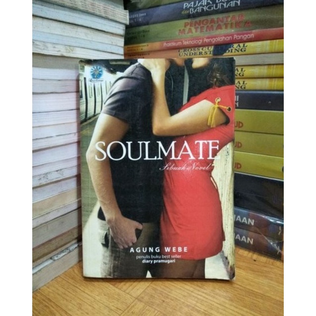 BUKU SOULMATE - SEBUAH NOVEL