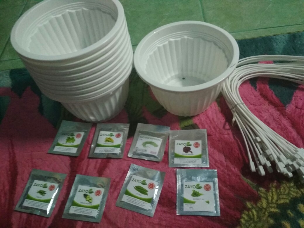 Benih Bayam Merah - Bibit Bayam Merah - Benih Bayam Merah Zayoseed