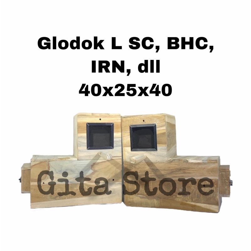 Glodok Ternak Burung Sun Conure / Nuri / Bayan / Monk dll