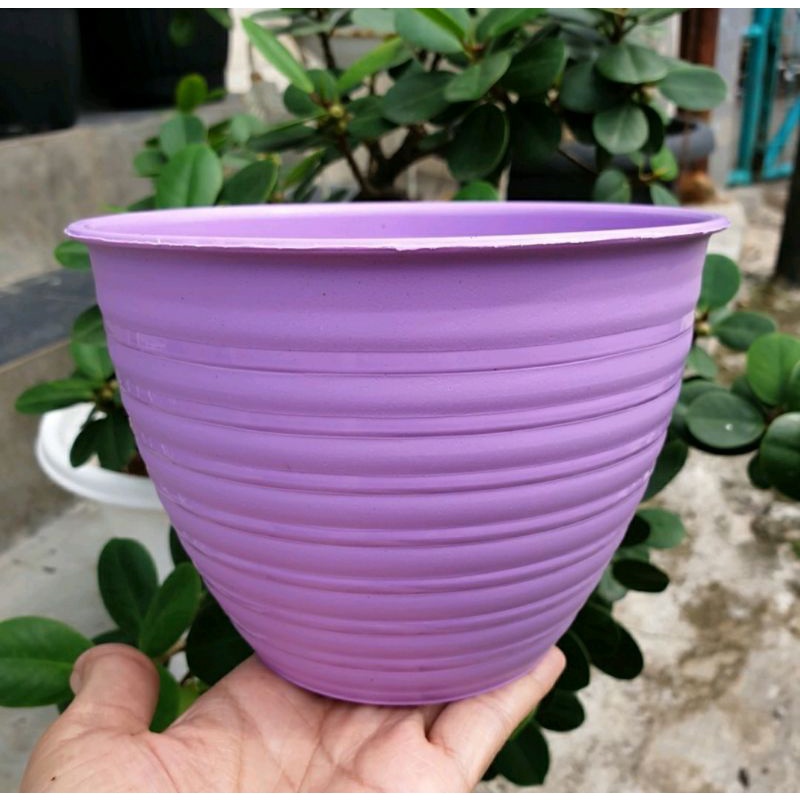 Pot Plastik Pot Bunga Pot Tawan Pot Bunga Warna Warni Pot 15 cm Pot Murah Grosir