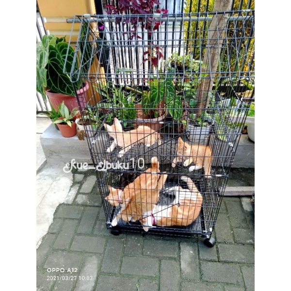 3 Tingkat Kandang Kucing Size L 97x60x45 cm + Roda Muat 3-4 Ekor Kucing Kandang Kucing Lipat Musang Tupai Bajing 97x60x45 cm Termurah