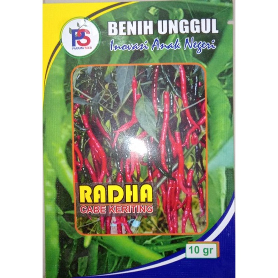 

BIBIT CABE MERAH KERITING RADHA