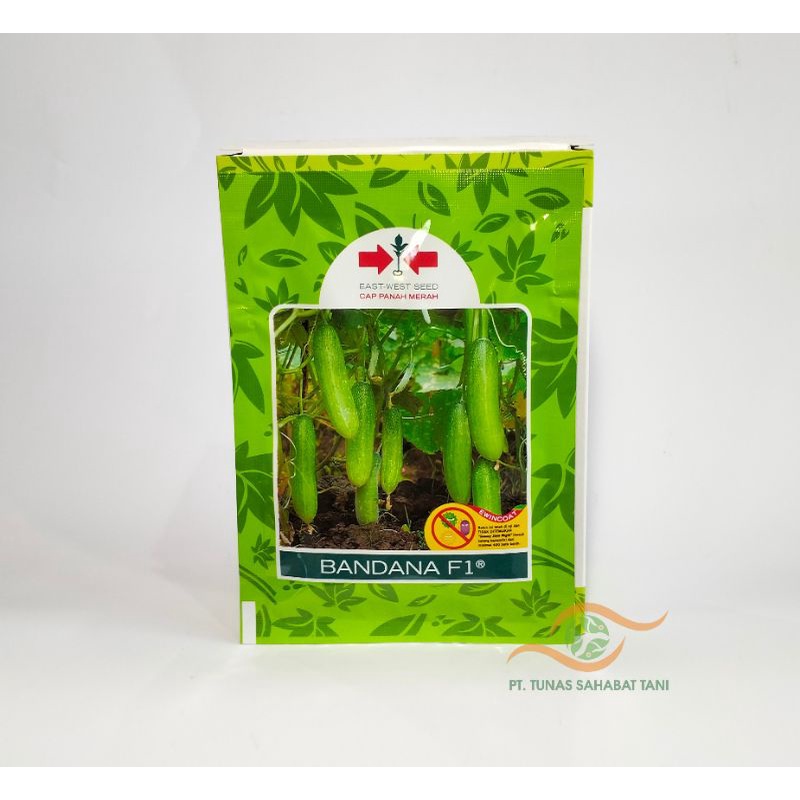 Benih Timun Hibrida BANDANA 800S - Timun Hibrida - Benih Murah - Panah Merah