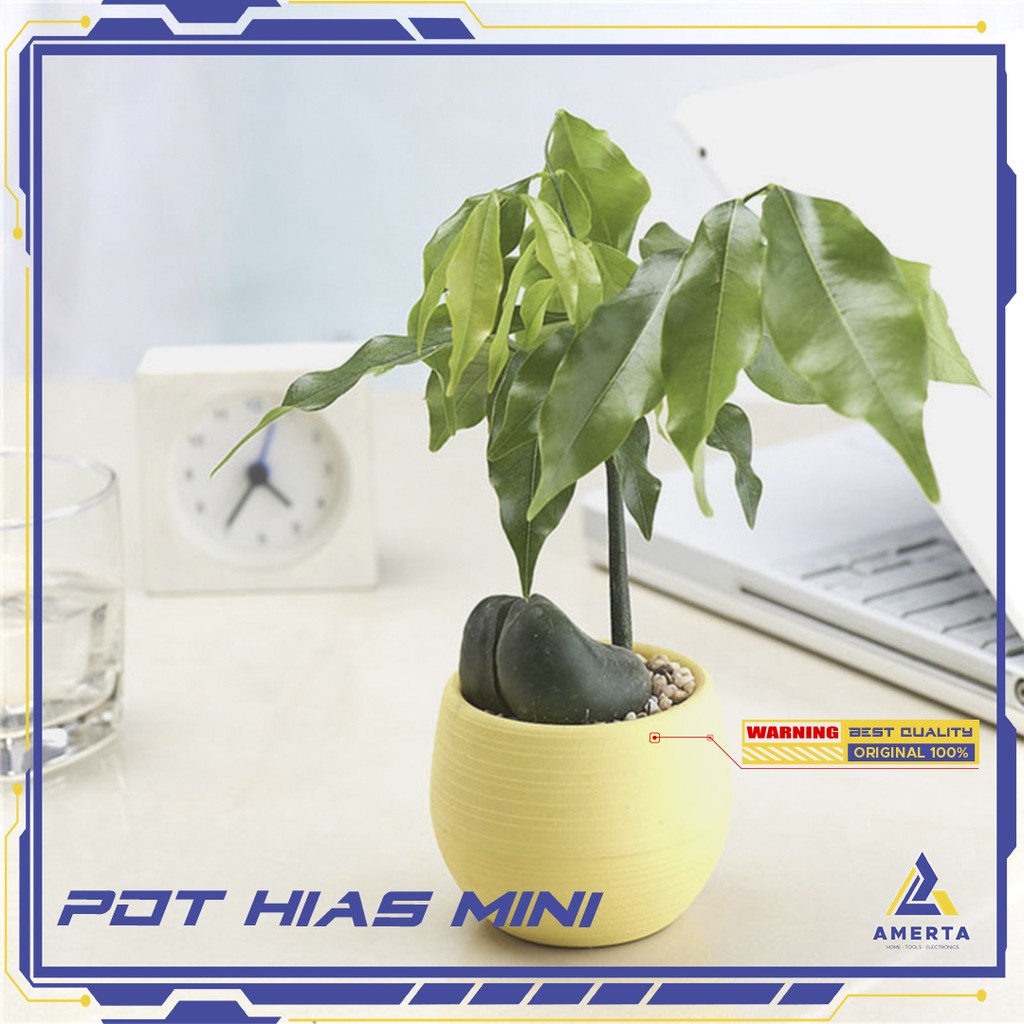 Mini Pot Bunga Hias Tanaman - 5 PCS - Multi-Color