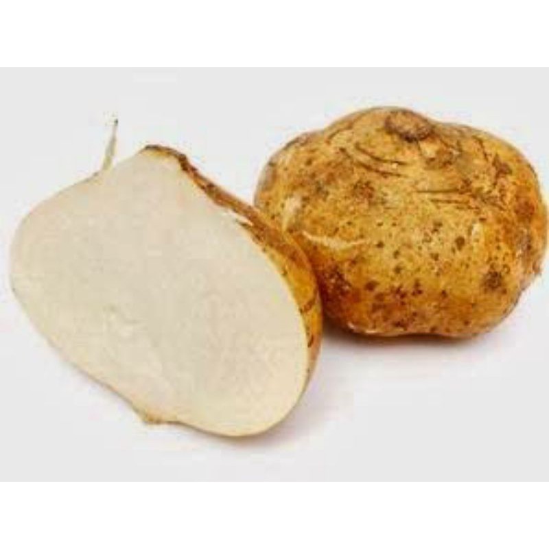 

BENGKUANG 500 GRAM