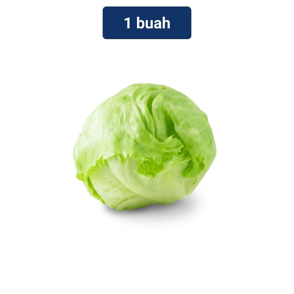 Jual Head Lettuce/ Iceberg Lettuce 1 buah (250 gr) Shopee Indonesia