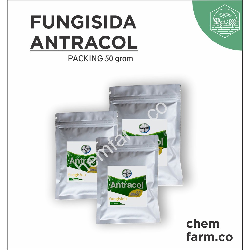 Fungsida Antracol Termurah Dan Terbaik 50gram