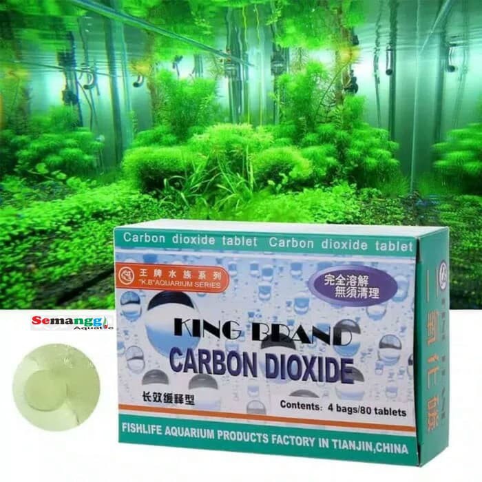 Co2 Tablet Isi 80 Pcs Tablet Co2 Aquascape Co2 Tablet