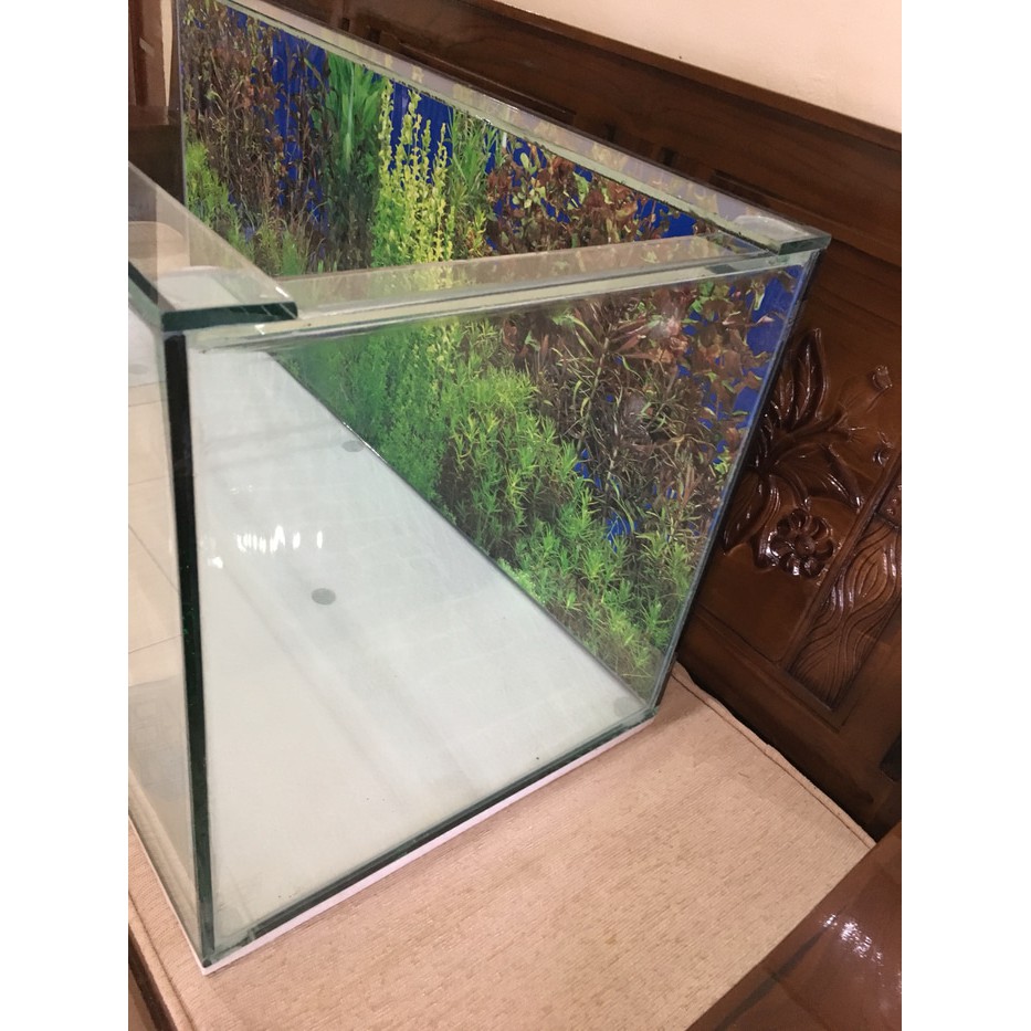 Best Deal Akuarium Aquarium Custom Ukuran 95x50x50 Cm 95 X 50 X 50