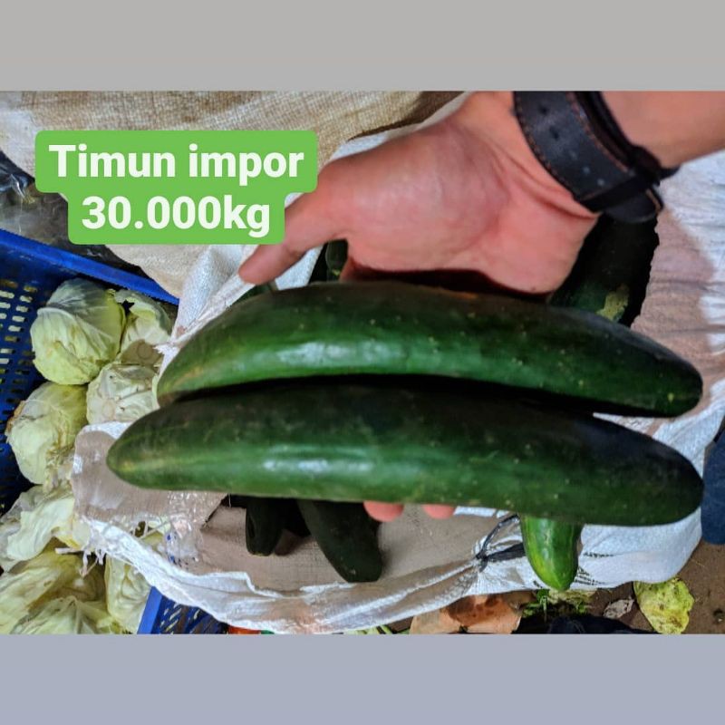 

Timun impor 1kg