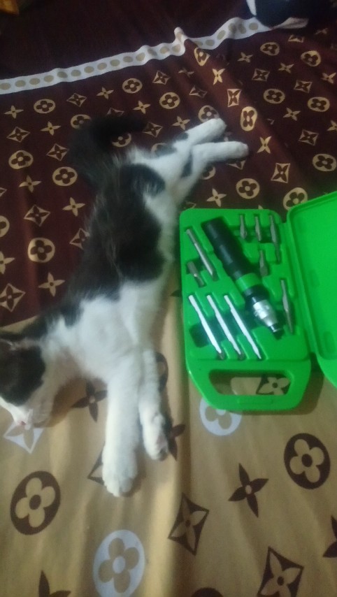 Obeng Ketok Set 11 Pcs Tekiro Impact Driver Mata 11pcs Ph 1 2 3 Ph1 Ph2 Ph3 Box Kotak Plastik 5 7 9