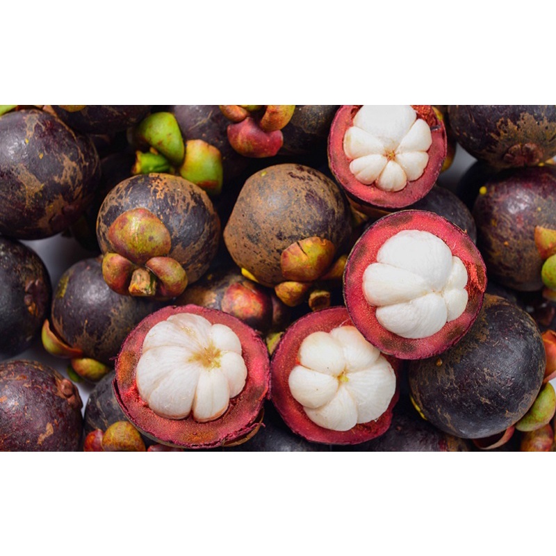 

Manggis FRESH 1 KG