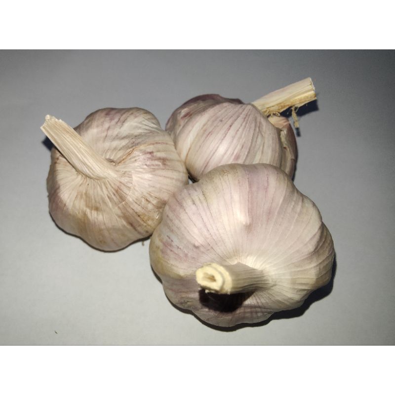 

RB Bawang Putih Honan 1kg Berkualitas Tahan Lama