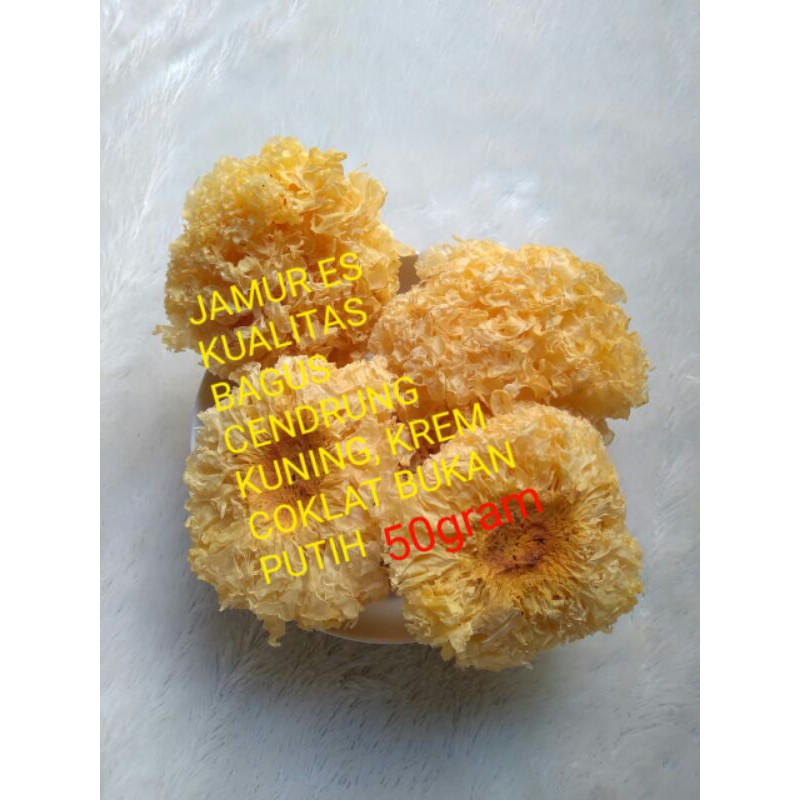 

Jamur salju premium 50gram / Dried Snow White Fungus 50gram