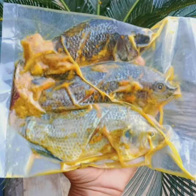 

Ikan Nila Siap Goreng - Forzen Food