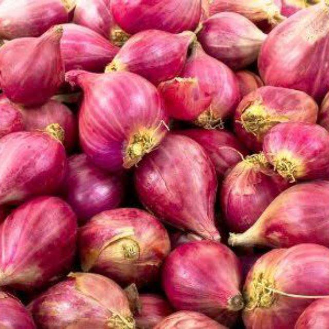 Manfaat Bawang Merah Untuk Kesehatan Tubuh Manfaat Bawang Merah Untuk Kesehatan Tubuh