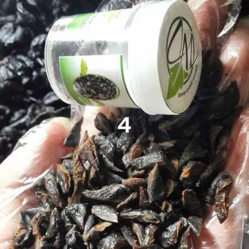 EMPOT AYAM/PERAPAT AREA KEWANITAAN/PROMIL/PENAMBAH LIBIDO