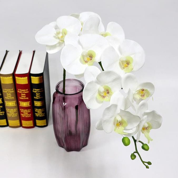 Hanya Disini] Anggrek Latex / Anggrek Bulan Putih / Anggrek Artificial / Orchid