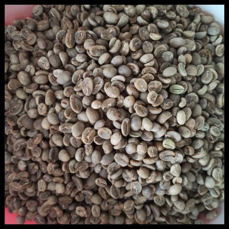 

DISKON TERBATAS !!! ARABICA ACEH GAYO GREENBEAN TERLARIS