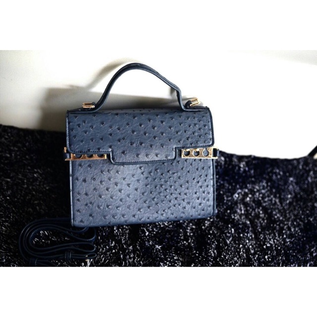 Delvaux Tempete Ostrich Bag