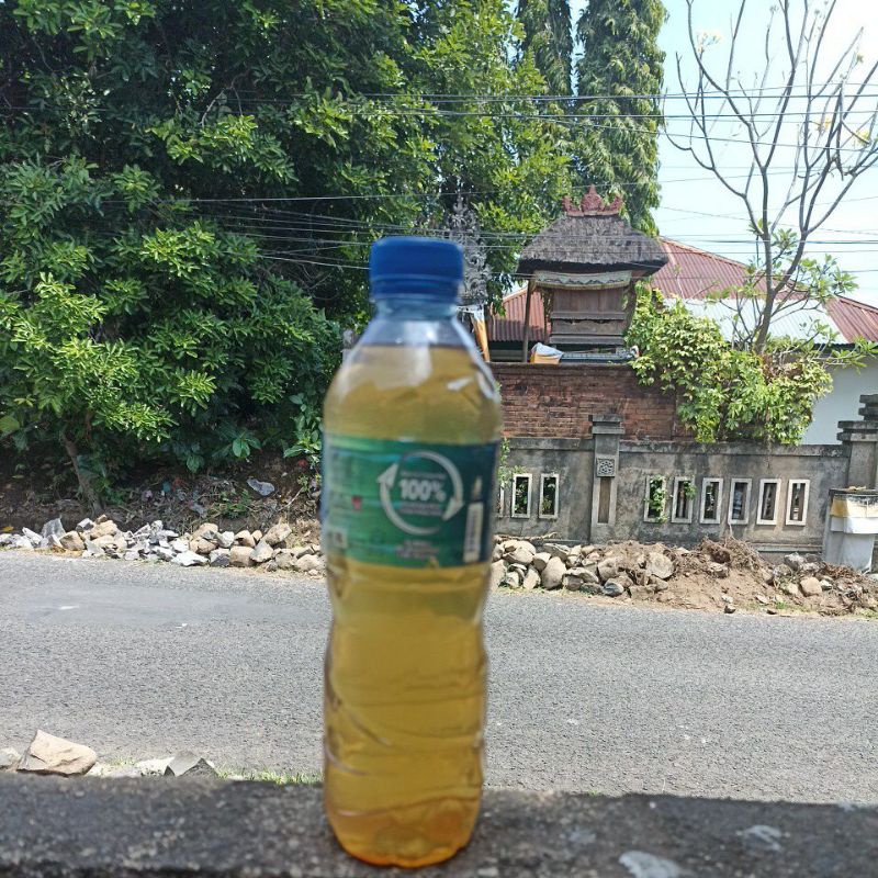 

Minyak Kelapa Bali Asli