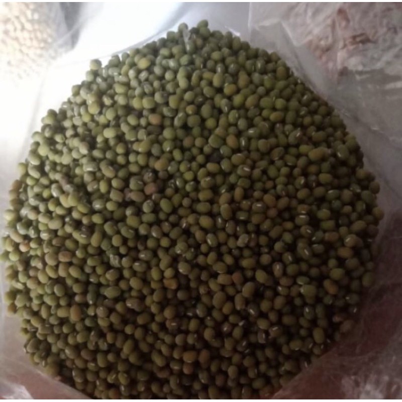 

Kacang Hijau/Ijo Harga Reseller
