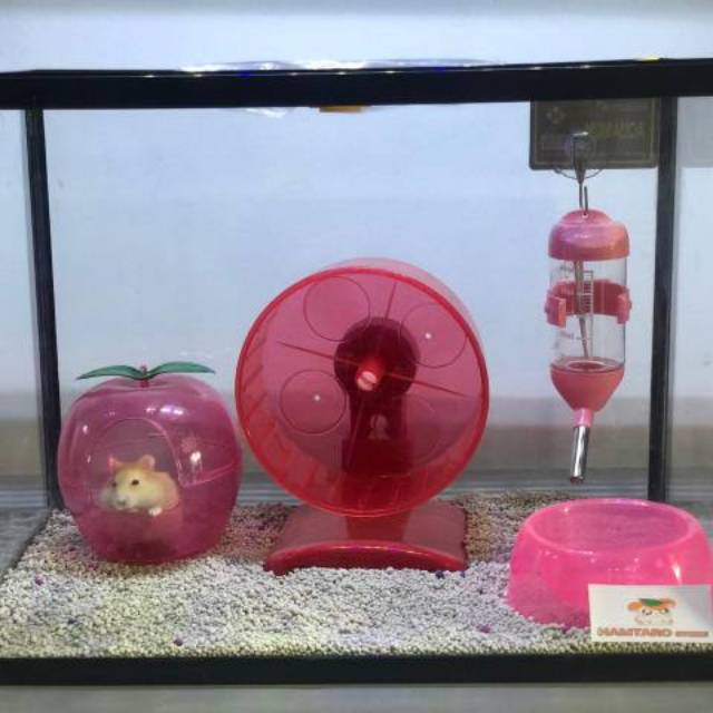 Terarium Kandang Hamster aquarium Fullset medium Kandang Hamster unik