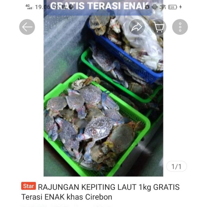 

Rajungan Laut Segar 500 gram.