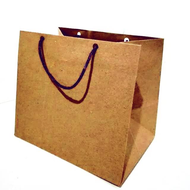 Paper bag/ tas kertas R3 polos uk (17x12x15)