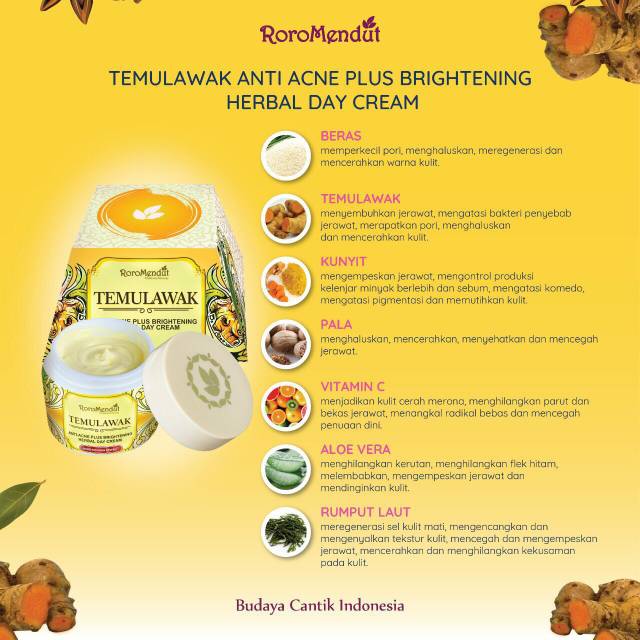 ANTI JERAWAT TEMULAWAK DAY CREAM RORO MENDUT
