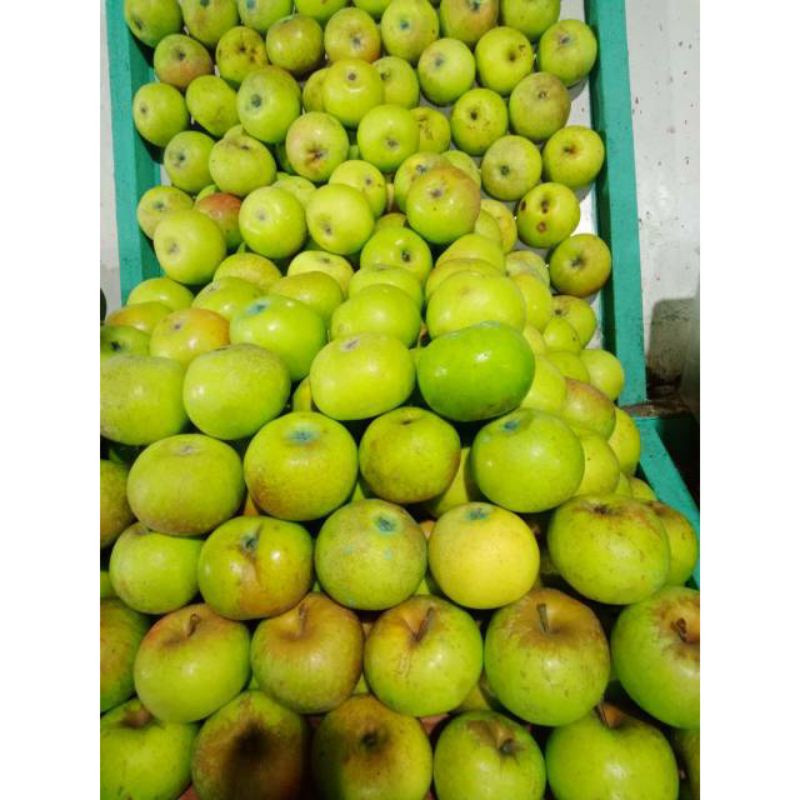 

apel manalagi|apel malang manalagi 1KG|buah segar bandung