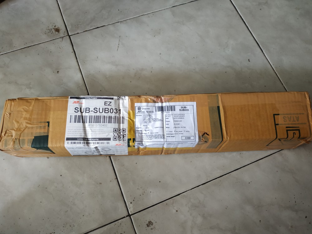 Paket 5 Bibit Tanaman Bidara Bibit Benih Tanaman Daun Biadara Arab