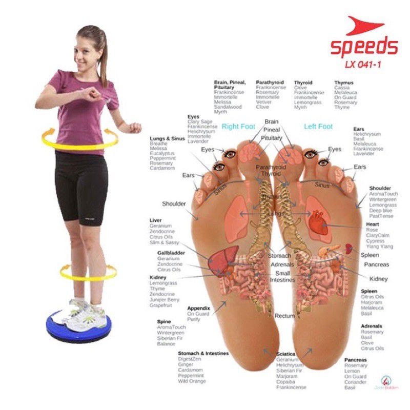 Alat Olahraga Putar Fitnes