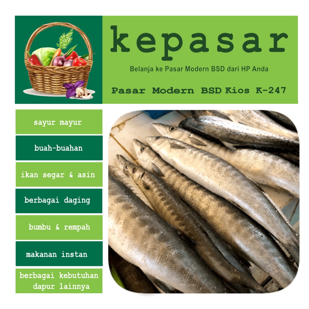 

Ikan Barakuda 1 kg