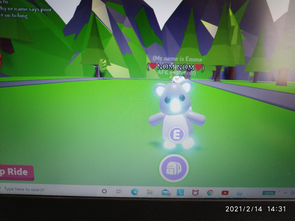 Koala Pet Adopt Me Roblox - Normal/f/n/nr/nfr